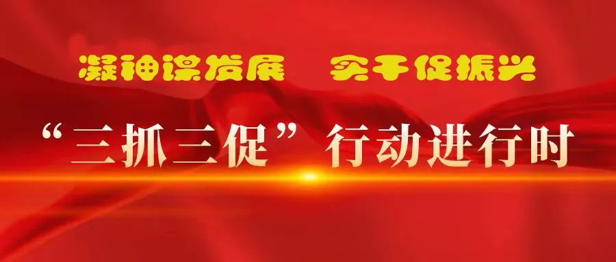 “三抓三促”進(jìn)行時 | 多措并舉強本領(lǐng) 精準(zhǔn)落實謀發(fā)展 —— 張掖市敦煌種業(yè)有限公司落實“三抓三促行動”紀(jì)實